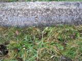 image of grave number 294767